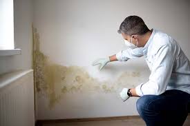 Best Black Mold Removal  in Hunter, OH